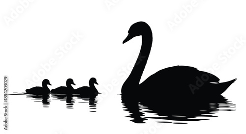 A swan with cygnets gracefully swimming on water a striking silhouette