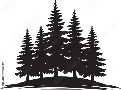 Group of pine trees on a hill