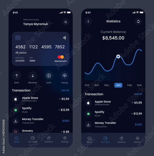 Payment Statistics Mobile Banking App