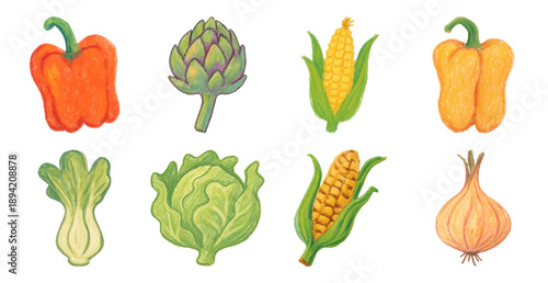 Colorful hand-drawn vegetable illustrations