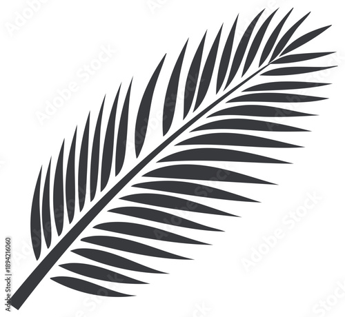 Minimalist black tropical palm frond silhouette vector illustration icon