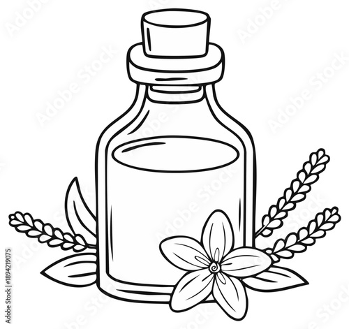 Herbal Oil Bottle with Vanilla Orchid Flower and Pods Line Art Illustration