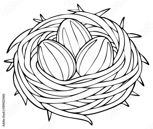Hand drawn illustration of a bird's nest with three eggs, symbolizing new life and beginnings.