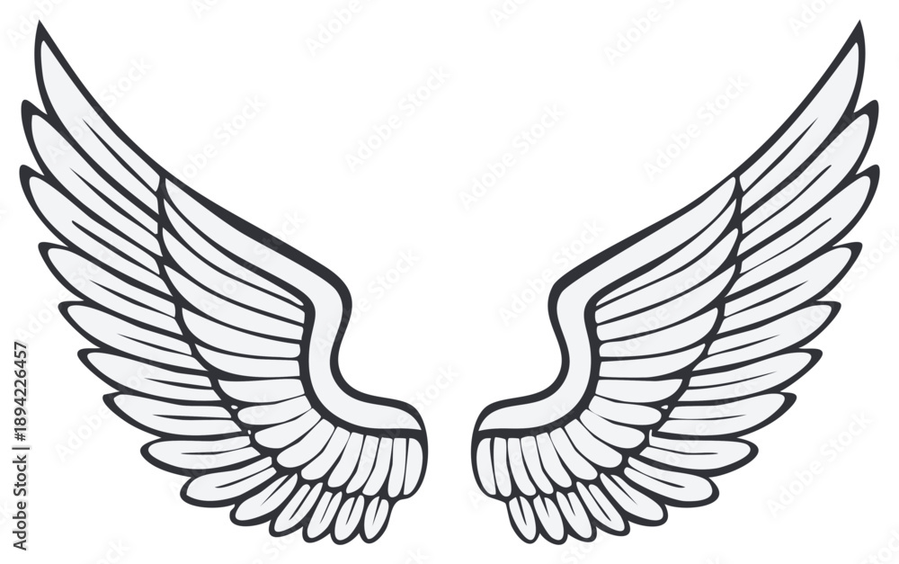 Fototapeta premium Stylized illustration of feathered wings in symmetrical arrangement, soaring, angelic, ethereal flight depiction, graphic design element