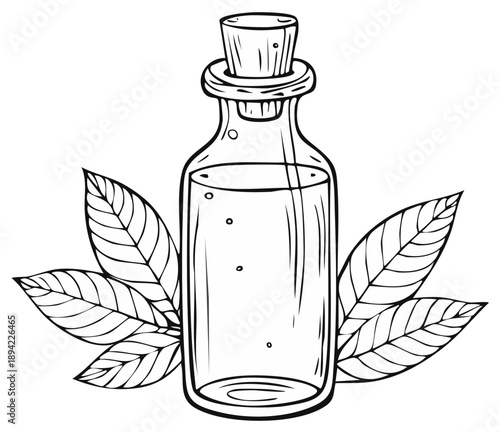 Essential oil bottle with leaves illustration: aromatherapy, herbal medicine ingredients, natural remedy