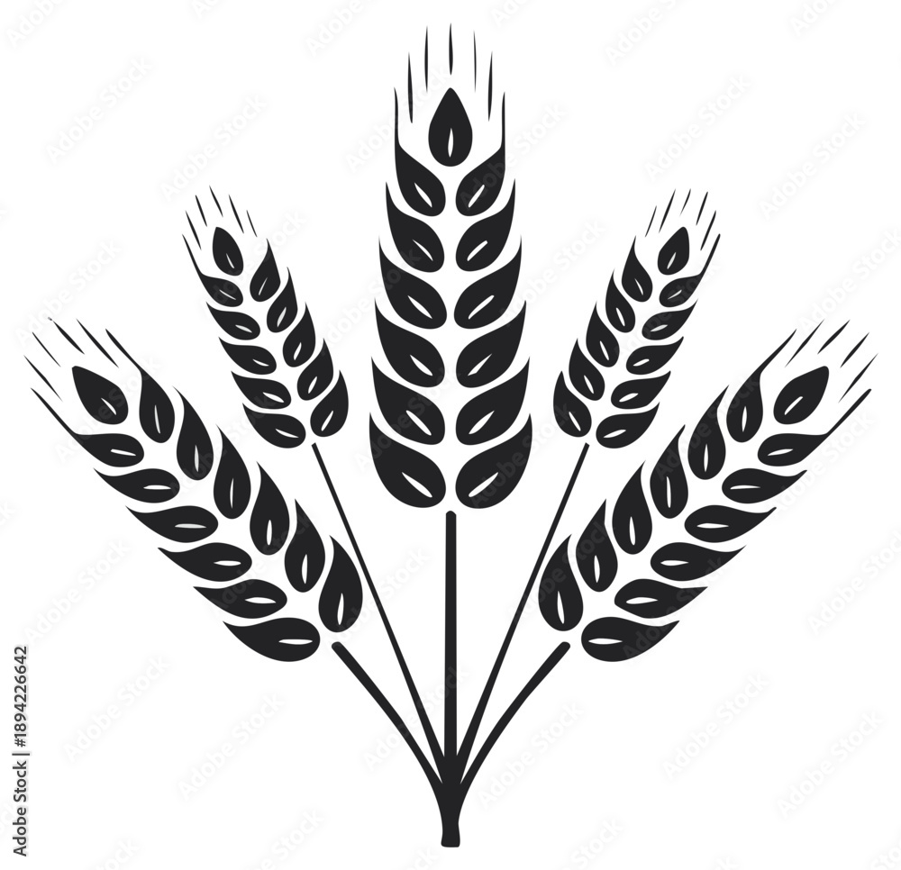 Fototapeta premium Stylized graphic illustration of five black wheat ears forming a fan shape