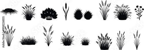 Botanical silhouette vector set, sixteen black plant shapes including grasses, flowers, and reeds in stylized compositions