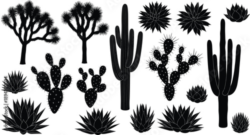 Desert plant silhouette vector set, black shapes of cacti, agave, and Joshua trees with stylized spines