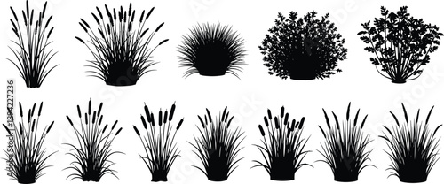 Grass and bush silhouette vector set, twelve black botanical shapes with seed heads and dense foliage Grass and bush silhouette vector set