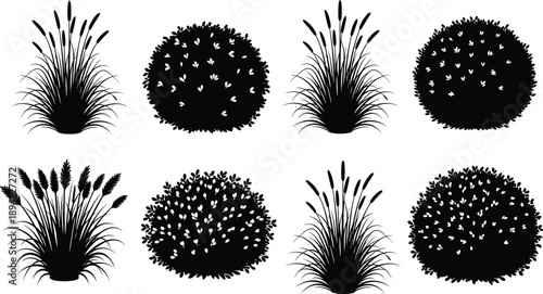 Grass and flowering bush silhouette vector set, black botanical shapes with seed heads and dense blossoms
