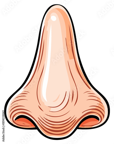Vector illustration of a stylized human nose in a cartoon style