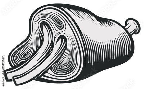 Retro Illustration Showing a Cross Section of a Mammal Brain Revealing Complex Interior Components