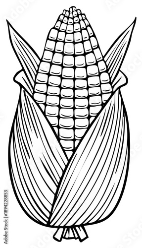 Detailed Black and White Illustration of a Fresh Ear of Corn with Husk