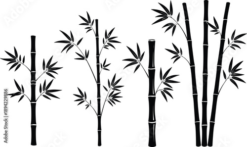 Bamboo silhouettes set, oriental plant stems leaves isolated black botanical illustration zen nature design