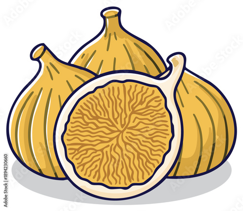 Yellow figs illustration whole and sliced. Exotic fruit still life.