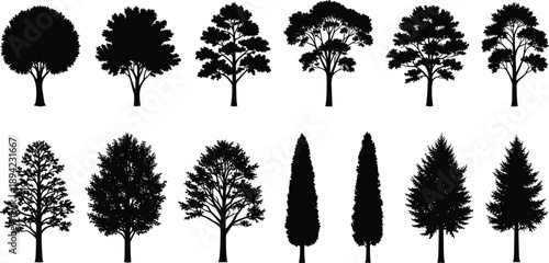 Tree silhouette vector set, twelve black botanical shapes with varied canopy and branching styles
