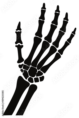 Black Silhouette of a Human Skeleton Hand in an Open Palm Pose
