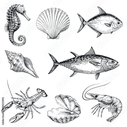 Vintage hand-drawn sea animals and seafood collection including fish, shellfish and marine creatures