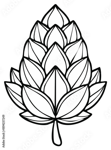 Outline of hops, vector illustration for brewing and craft beer designs