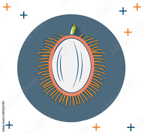 Illustrated tropical rambutan fruit with a white center and spiky exterior on a teal circle.