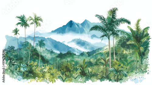 Mindo Cloud Forest. Mindo Cloud Forest hand drawn watercolor illustration