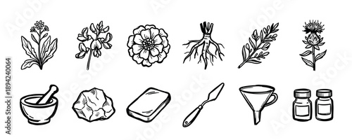 Set of hand drawn black icons showing botanical ingredients and alchemical tools for natural remedies, including flowers, roots, mortar, pestle, and vials in a simple doodle style