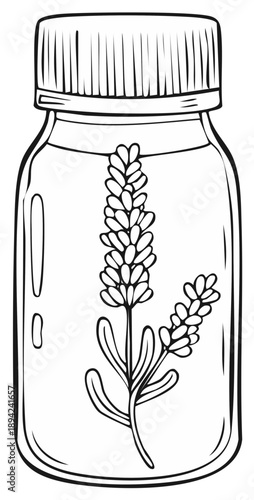 Hand drawn sketch of a lavender sprig in a glass bottle of aromatic essential oil for aromatherapy