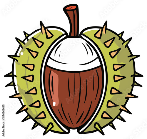 Stylized cartoon horse chestnut in an open spiky shell vector graphic of an autumn conker