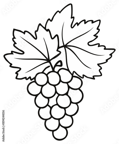 Outline illustration of a bunch of grapes with leaves isolated on white background.