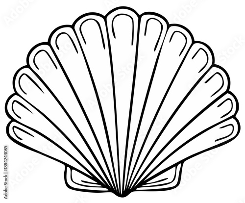 Stylized Seashell Outline Drawing Illustration Design Element