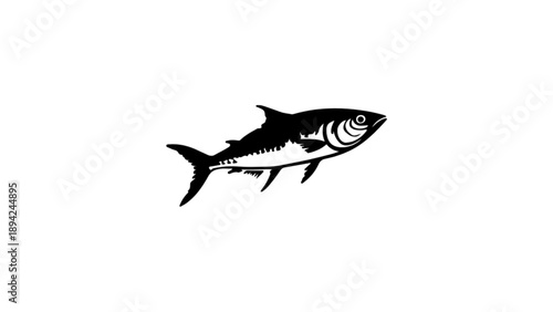A detailed black and white illustration of a sleek, fast-swimming fish.