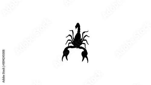 A top-down black silhouette of a scorpion with its stinger raised and claws open