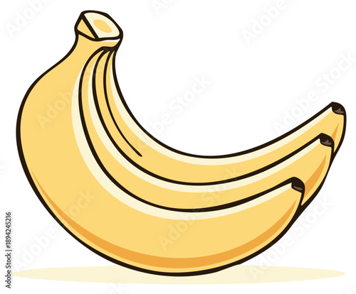Bright yellow ripe bananas delicious healthy sweet tropical fruit illustration