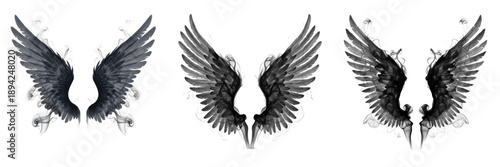 Fotografie Shadow wings smoky effect isolated on white background, dark fantasy wings made