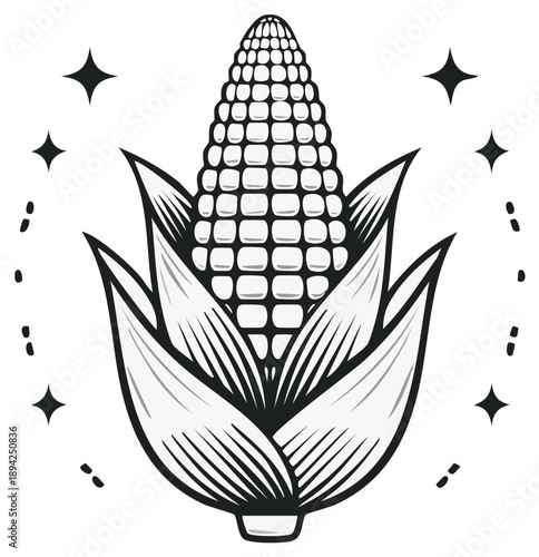 Isolated vector illustration of a black and white corncob with shucks and abstract stars