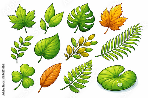 Variety of colorful leaves: maple, fern, monstera, and more on white background
