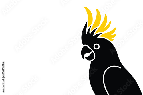 Minimalist Black Cockatoo with Yellow Crest, exotic wildlife concept with copy space