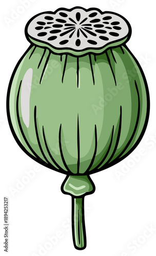 Stylized illustration of a green poppy seed pod with a detailed crown and stem