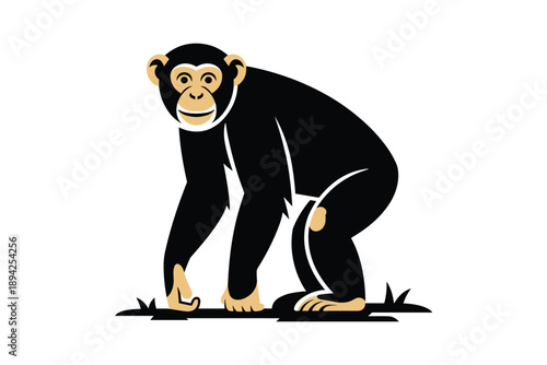 Flat Design Chimpanzee Primate Illustration, wildlife education concept with copy space