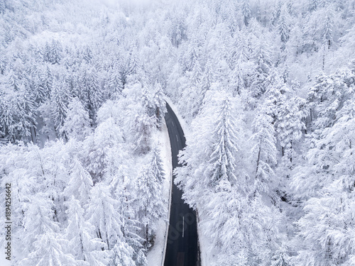 Aerial view of a road leading into a snowy forest in a winter landscape