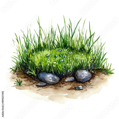 Photography watercolor of Spring Dew, isolated on a white background.