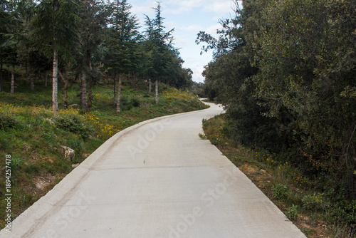 Wallpaper Mural voie cimentée dans les Albères Torontodigital.ca