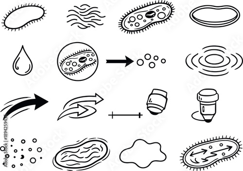 Line style icons of paramecium feeding and movement: paramecium outline, cilia, oral groove, nucleus, food vacuole, cell membrane