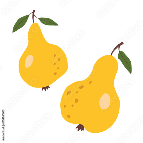 Pear isolated on white background. Natural delicious fresh ripe tasty fruit. Sweet pears with leaves. Food concept. Vector illustration for design.