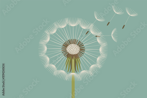 Dandelion Seeds Blowing in the Wind on a Muted Background, hope and freedom concept