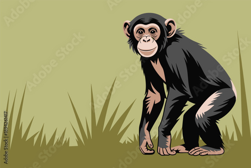 Alert Chimpanzee Standing in Grassland, animal intelligence concept with copy space