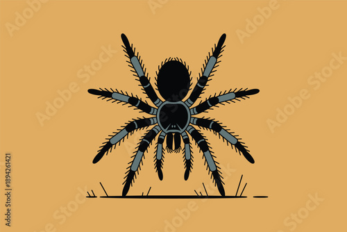 Flat Design Tarantula Spider, insect awareness concept