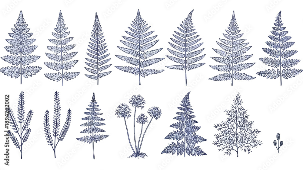 Obraz premium Collection of various plant silhouettes including ferns and trees illustrated in a minimalist style