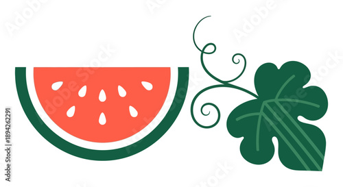 A watermelon slice and a leafy vine illustration on a simple background from a straightforward viewpoint