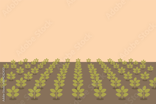 Rows of Young Plants in a Cultivated Field, sustainable farming concept with copy space